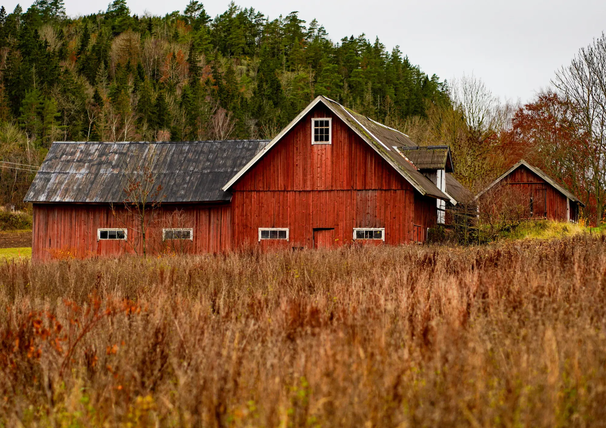 Ubezpieczenie Gospodarstw
