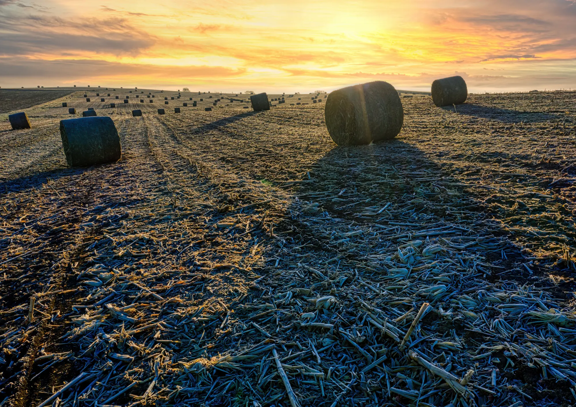 Co może zmienić się w ubezpieczeniach rolników w 2026 roku? Przewidywane kierunki i ważne informacje