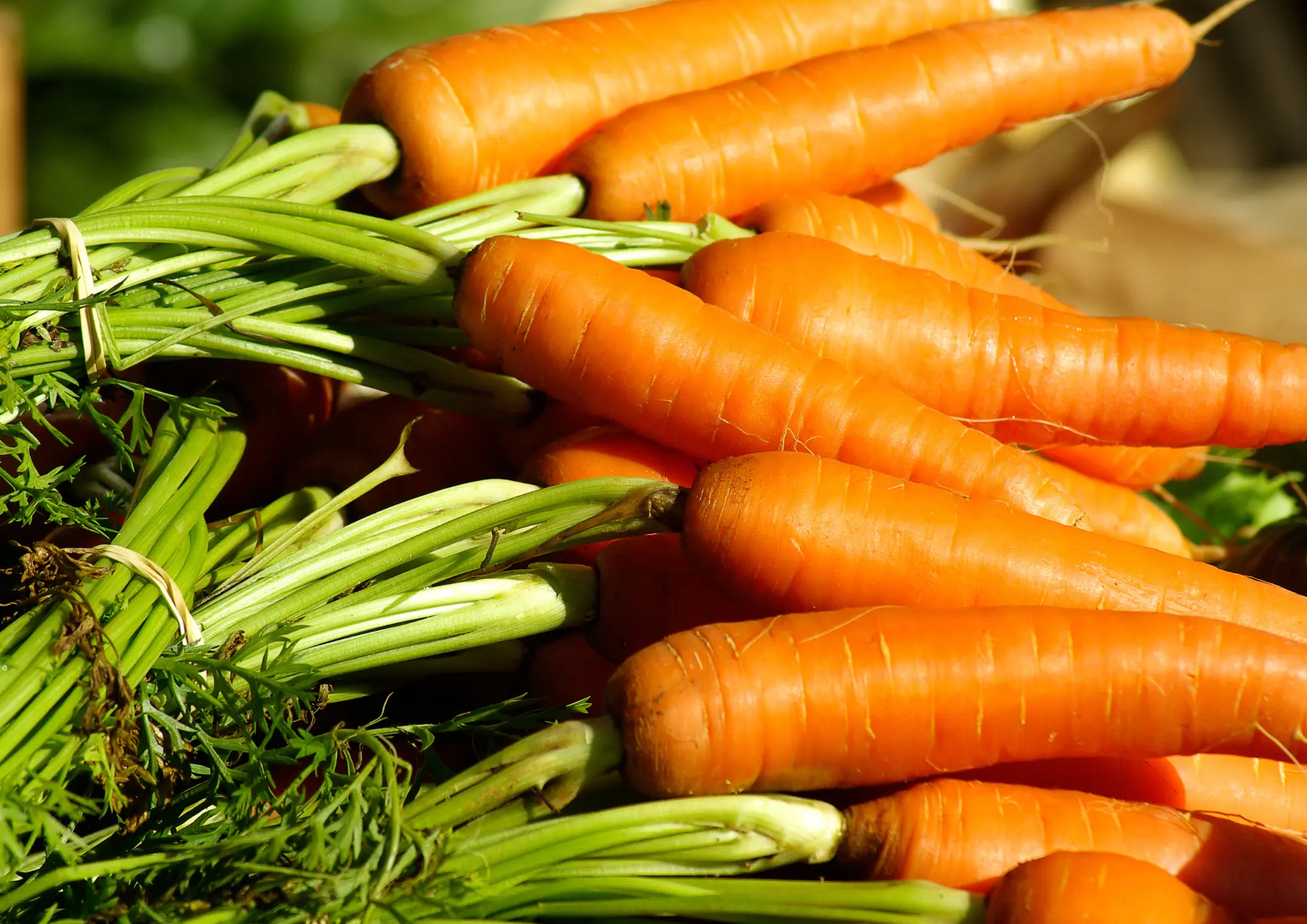 Ubezpieczenia Warzyw